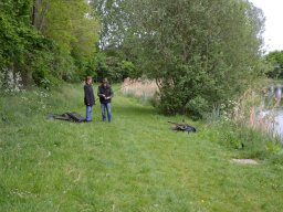 Competities HSV Alfheim